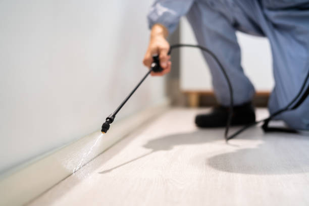 Licensed Fumigation Services service in Toro Canyon, CA - Nex Pest Control