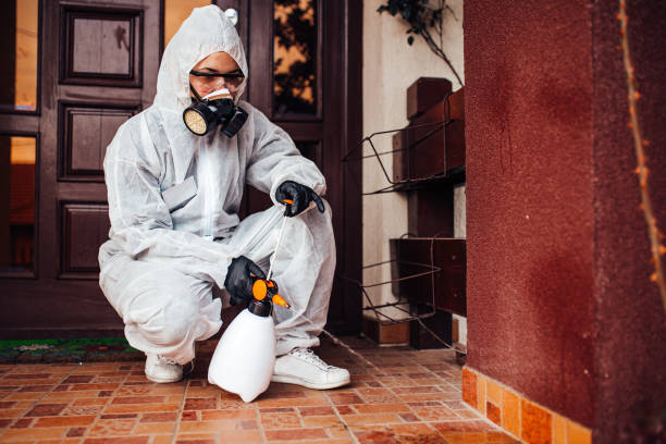 Reliable Fumigation Services contractor in Toro Canyon, CA by Nex Pest Control